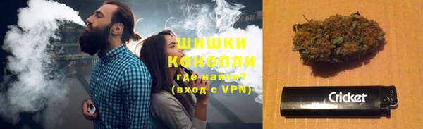 крисы Нягань